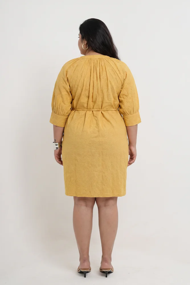 KEYA OCHRE EMBROIDERED DRESS 4