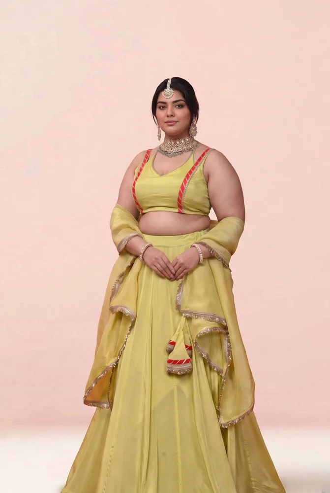 Aakriti Aaina Chinon Lehanga Set 2