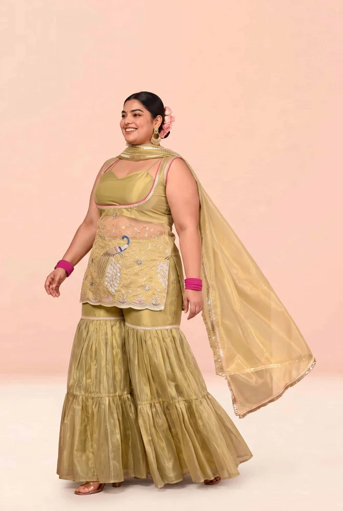 Damini Embroidered Garara Set 2