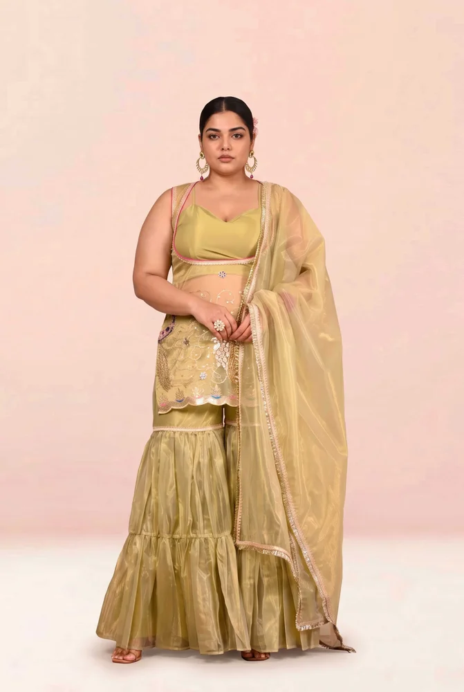 Damini Embroidered Garara Set