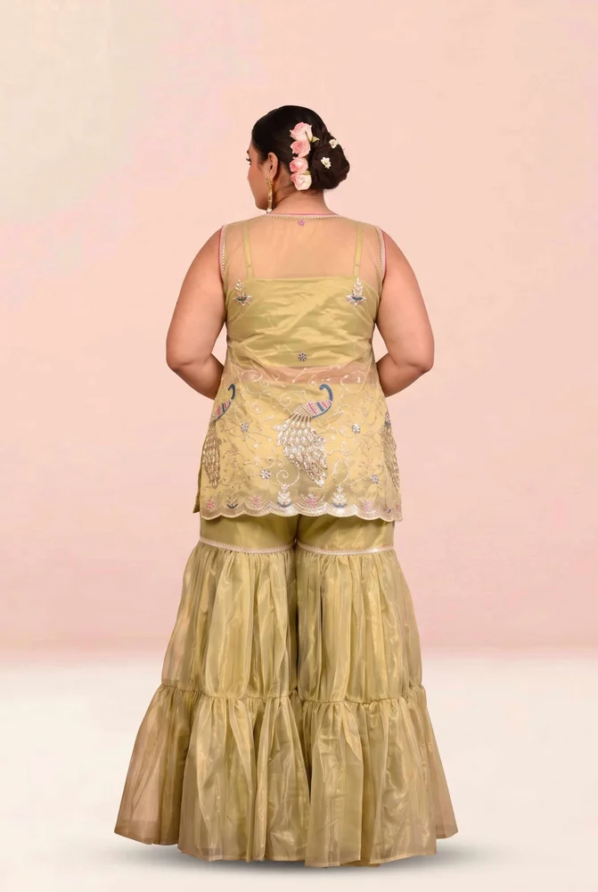 Damini Embroidered Garara Set 3