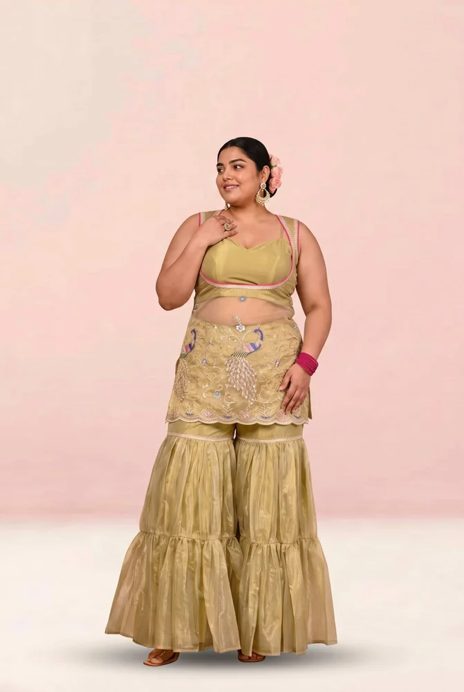Damini Embroidered Garara Set 4