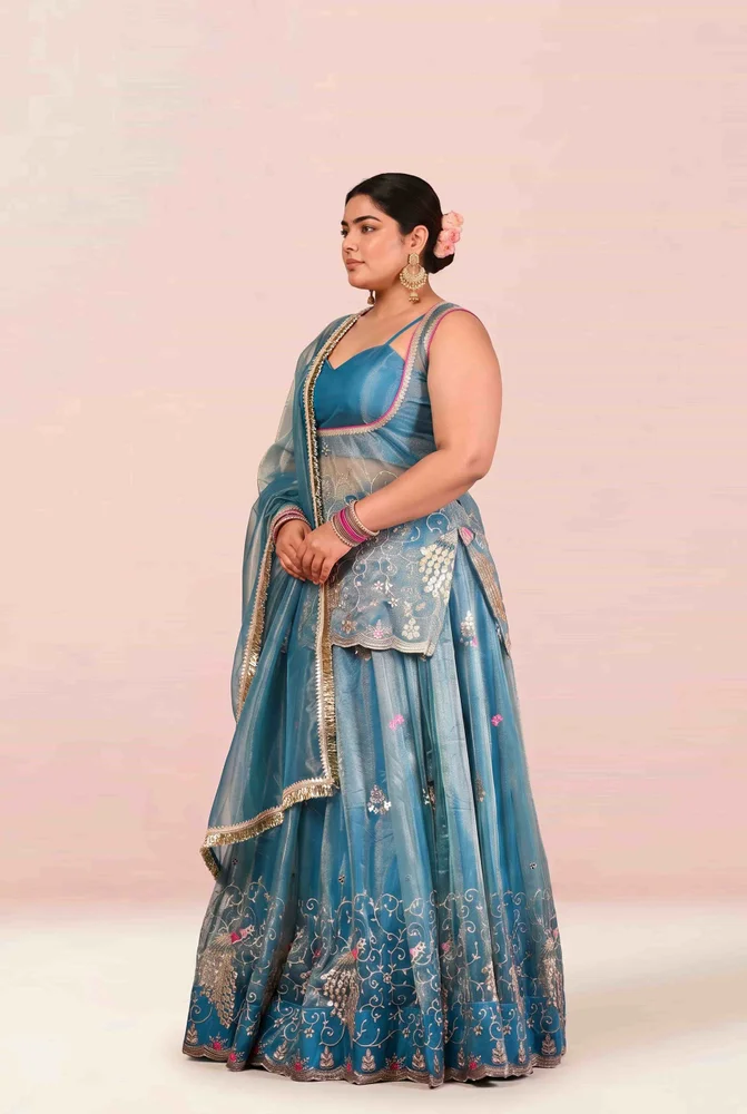 Brinda Embroidered Lehanga Set 5