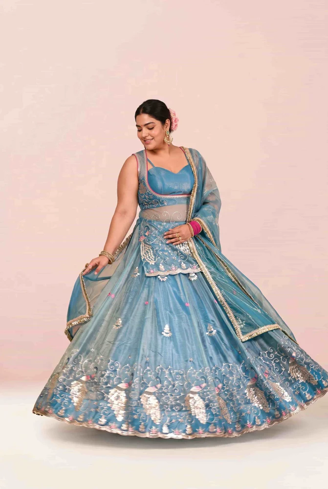 Brinda Embroidered Lehanga Set 4