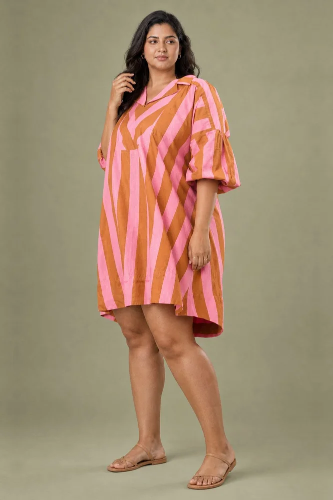 Pale Pink Striped Printed Short Dress with Collar Neck 4