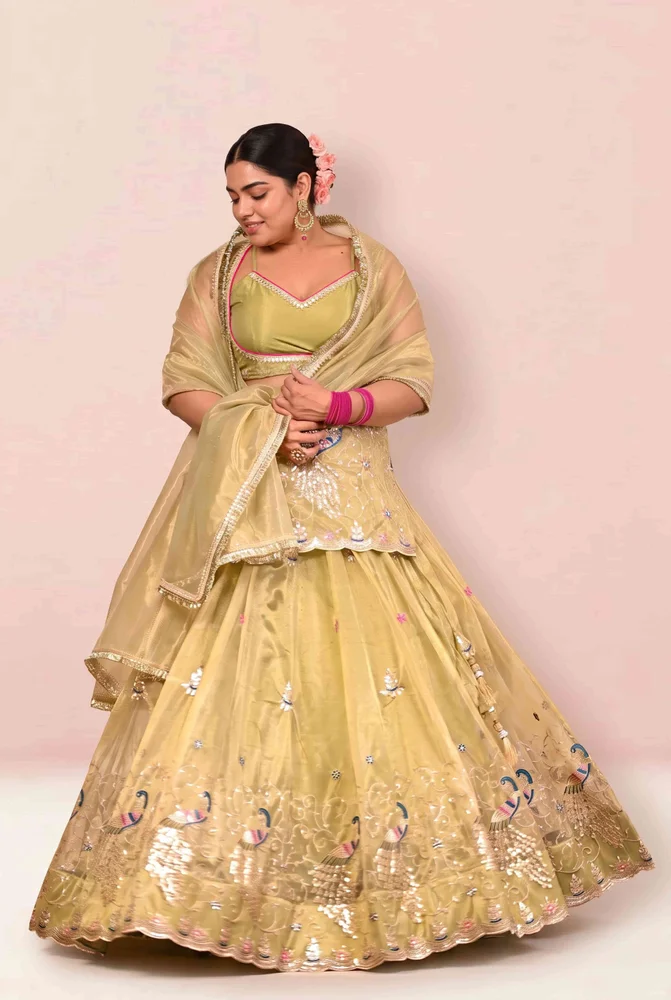 Baisakhi Embroidered Lehanga Set 5