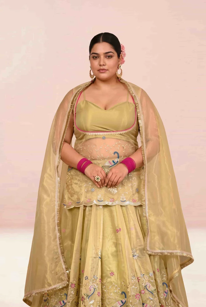 Baisakhi Embroidered Lehanga Set 2