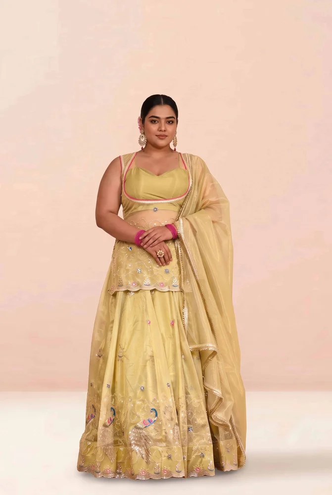Baisakhi Embroidered Lehanga Set 4
