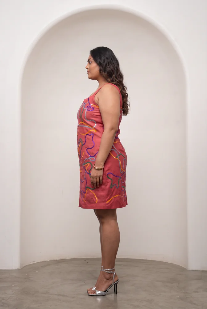 Sena Embroidered Dress 2