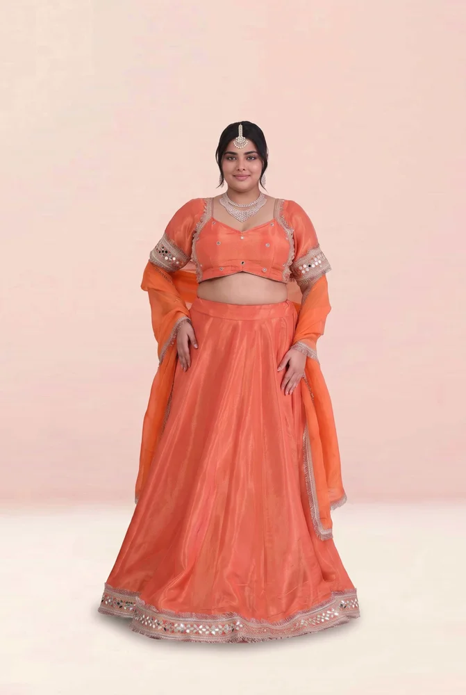 Riddhima Cosmo Aaina Lehanga Set