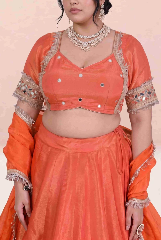 Riddhima Cosmo Aaina Lehanga Set 4