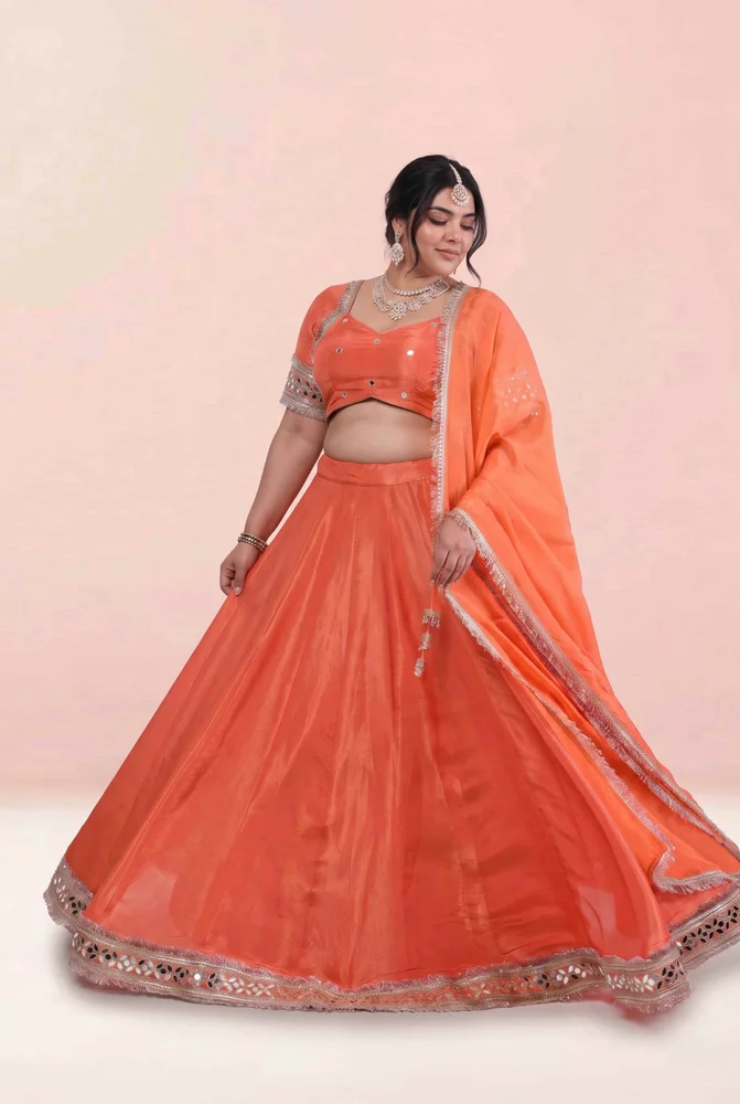 Riddhima Cosmo Aaina Lehanga Set 2